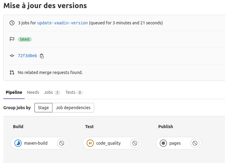Les jobs tournent sur le runner local !